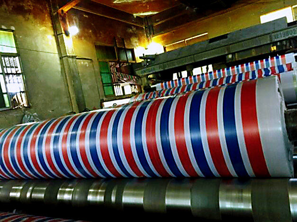 1647095175781339.jpg 14.jpg