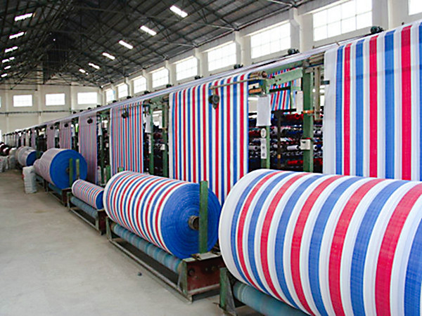 发明彩条布对葡萄的保温性能