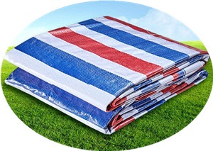 疯狂做受XXXX高潮A片动画