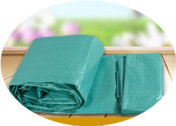 疯狂做受XXXX高潮A片动画